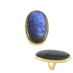 Labradorite Silver Ring (Adela Silber)