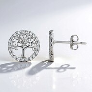 Orecchini in argento con Topazio Bianco