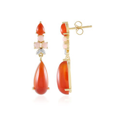 Orecchini in argento con Corniola