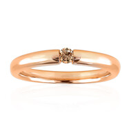 VS1 Argyle-Rose de France-Brillant-Goldring (Annette)