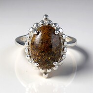 Dinosaur Bone Silver Ring