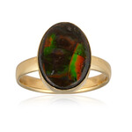 Ammolite Silver Ring (Bali Barong)