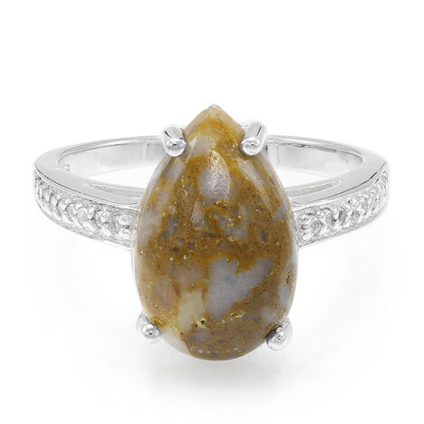 Zilveren ring met een dinosaurus kwarts