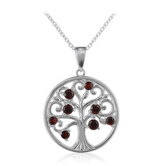 Garnet Silver Necklace