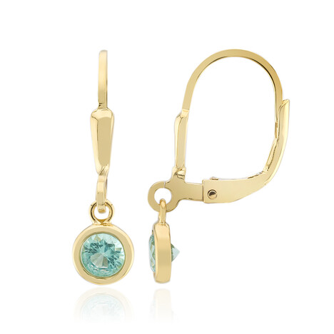Orecchini in argento con Apatite Blu