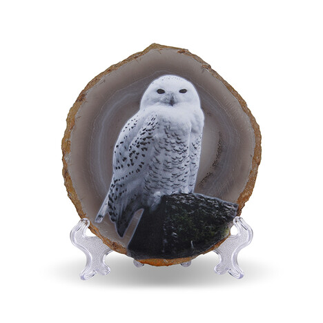 Accessorio con Agata Color Argento