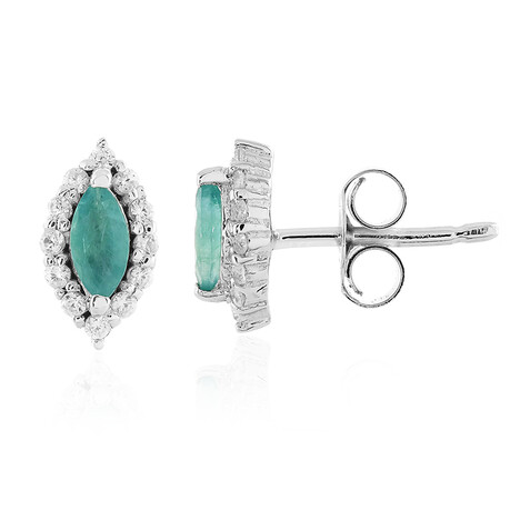 Zilveren oorbellen met Grandidirieten