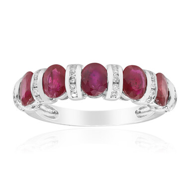 AAA-Mosambik-Rubin-Goldring (CIRARI)