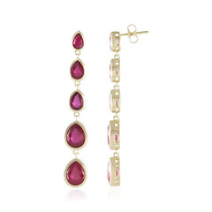 9K Madagascar Ruby Gold Earrings (de Melo)