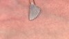 Pendentif en argent (MONOSONO COLLECTION)