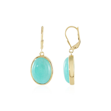Amazonite Silver Earrings