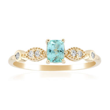 Brasilianischer Paraiba-Turmalin-Goldring (AMAYANI)