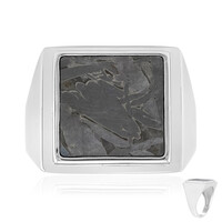 Anello in argento con Meteoriti di Aletai
