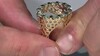 Zilveren ring met Zwitsers-blauwe topaasstenen (Ornaments by de Melo)