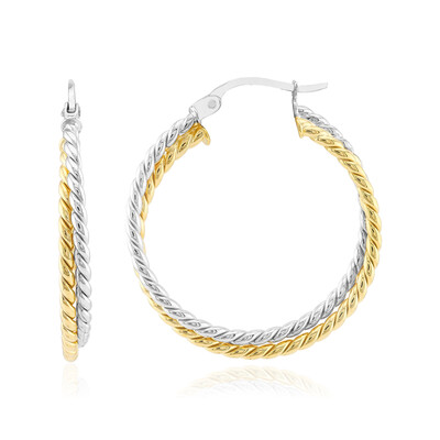 Orecchini in argento