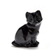 Figure with Obsidian