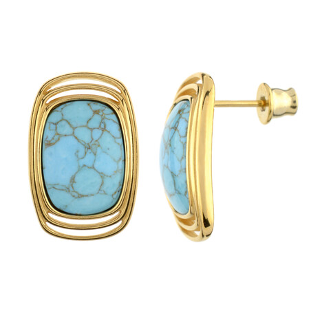 Pendientes en plata con Turquesa (dagen)