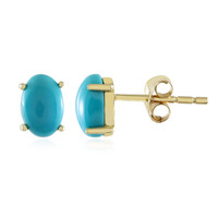 Orecchini in oro con Turchese Sleeping Beauty