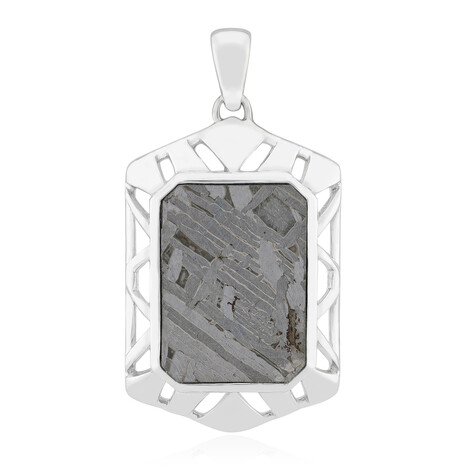 Zilveren hanger met een Aletai meteoriet