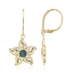 Pendientes en plata con Concha de Abalone