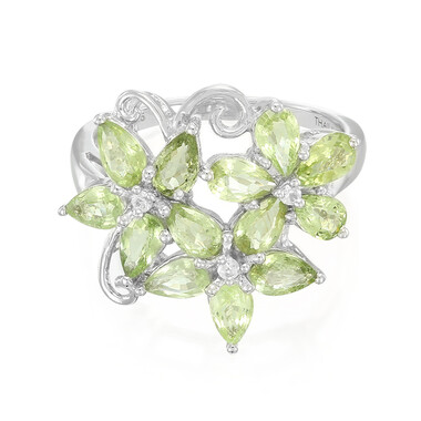 Paraiba-Turmalin-Silberring