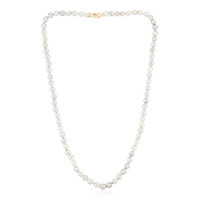 Platin-Akoya-Perlen-Goldcollier (TPC)