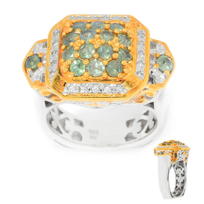 Brasilianischer Alexandrit-Silberring (Gems en Vogue)