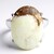 Anello in argento con Magnesite