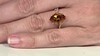 Gouden ring met een citrien (CIRARI)
