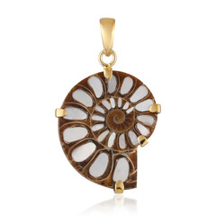 Ciondolo in argento con Ammonite