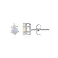 Welo-Opal-Silberohrringe