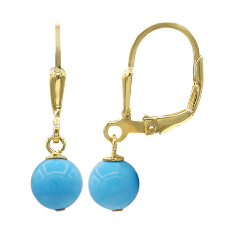 Arizona-Türkis-Silberohrringe