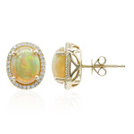 14K AAA Welo Opal Gold Earrings (CIRARI)