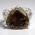 Anello in argento con Quarzo Dinosauro