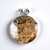 Ciondolo in argento con Legno Fossile