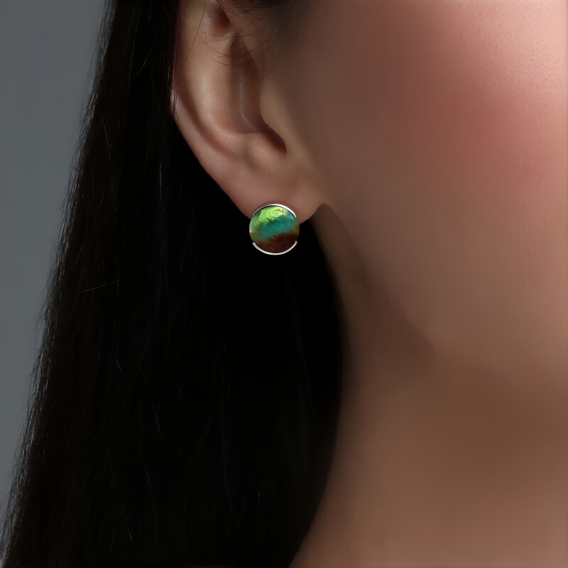 Orecchini in argento con Legno pietrificato opalizzato (Bali Barong)