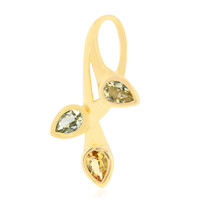 Gouden hanger met een Australische gouden beril