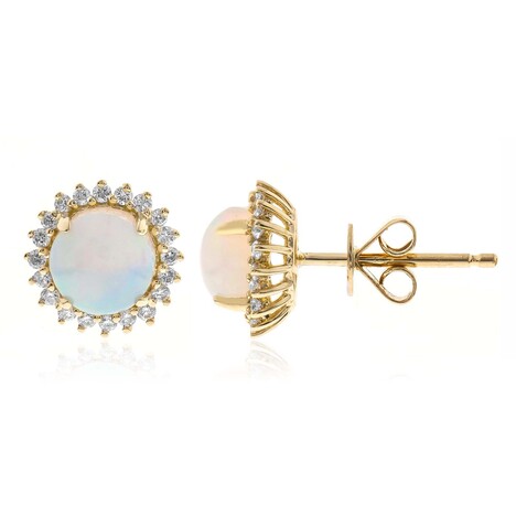 AAA-Welo-Opal-Goldohrringe