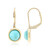 Amazonite Silver Earrings