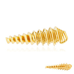 Zilveren broche (SAELOCANA)