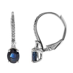 Blauer Ceylon-Saphir-Goldohrringe