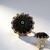 Anello in argento con Madreperla Nera (Gems en Vogue)