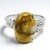 Anello in argento con Quarzo Dinosauro