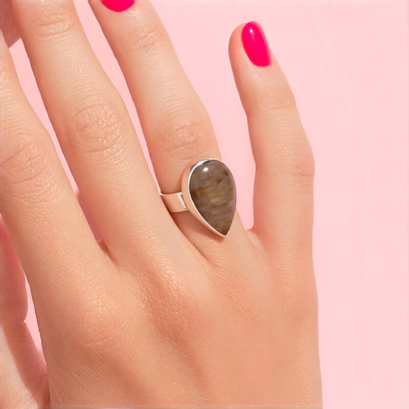 Bague en argent et Bois fossilisé