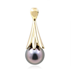 Gouden hanger met een Tahiti parel (de Melo)