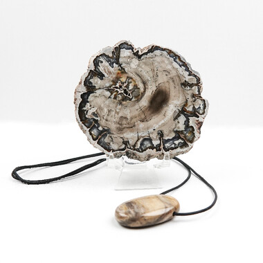Set "Versteinertes Holz Stabilität" Herren