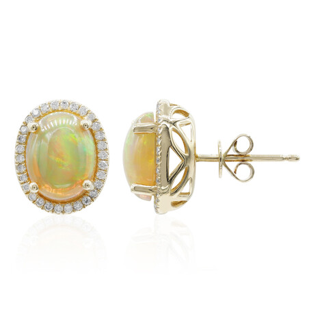 14K AAA Welo Opal Gold Earrings (CIRARI)