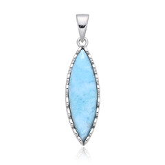 Ciondolo in argento con Larimar