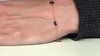 Brazalete en plata con Amatista Rosa de Francia
