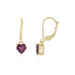 Zilveren oorbellen met Naktamunda rhodolieten